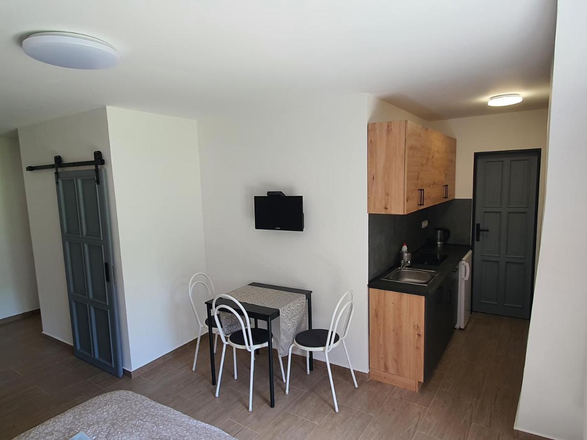Cerny Kohout Hotel apartamentowy
